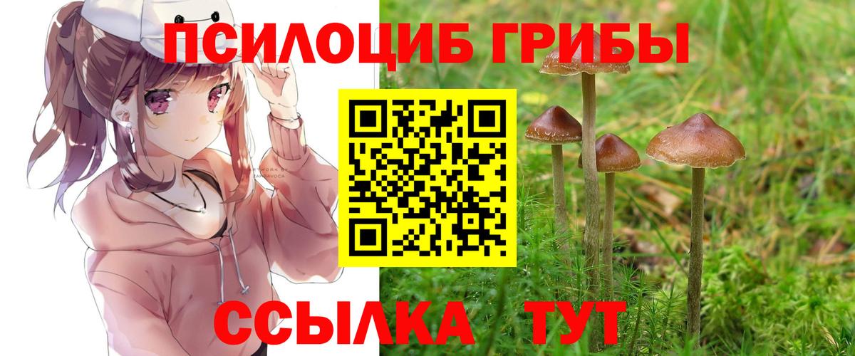 Галлюциногенные грибы мухоморы Москва
