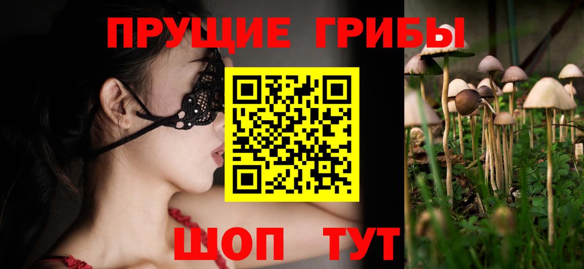 Псилоцибиновые грибы ЛСД  Вход с VPN  Москва  Псилоцибиновые грибы прущие грибы 